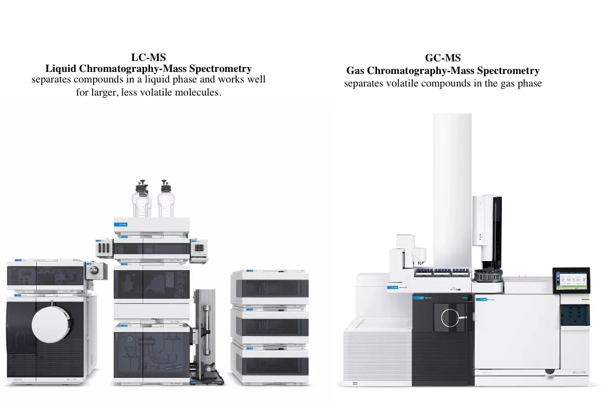 GC-MS vs LC-MS: How to Choose for Metabolomics Research