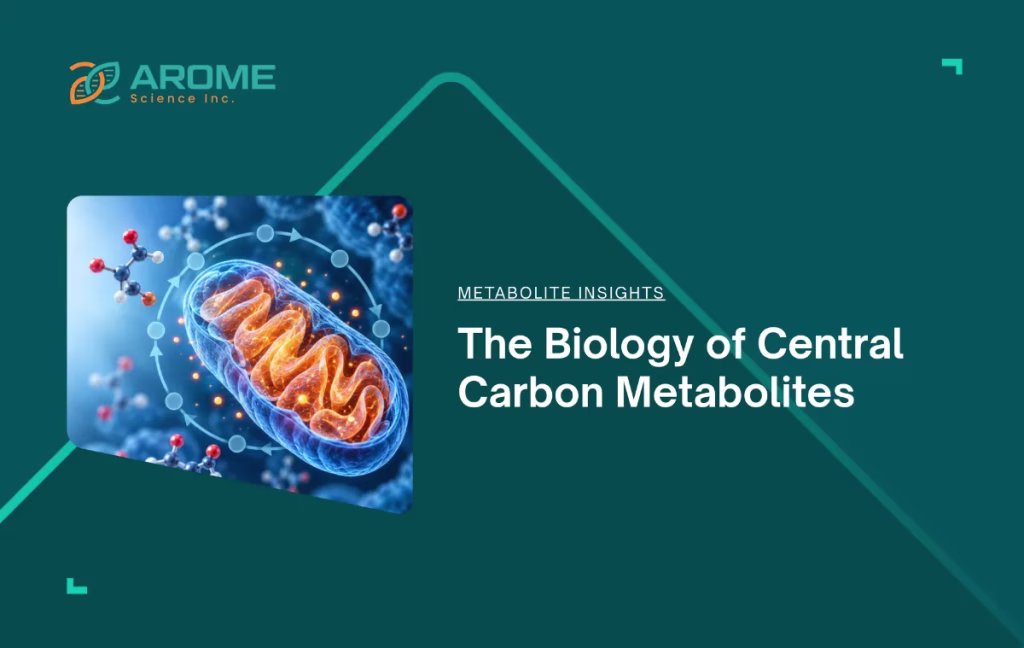 The Biology of Central Carbon Metabolites