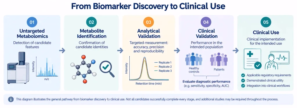 Five stages of biomarker discovery and validation, from untargeted metabolomics to clinical use.