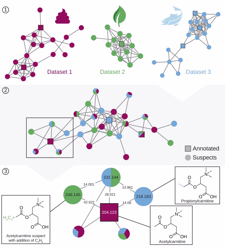 Diagram showing how molecular networks from multiple datasets are combined to propagate annotations and build a suspect spectral library.