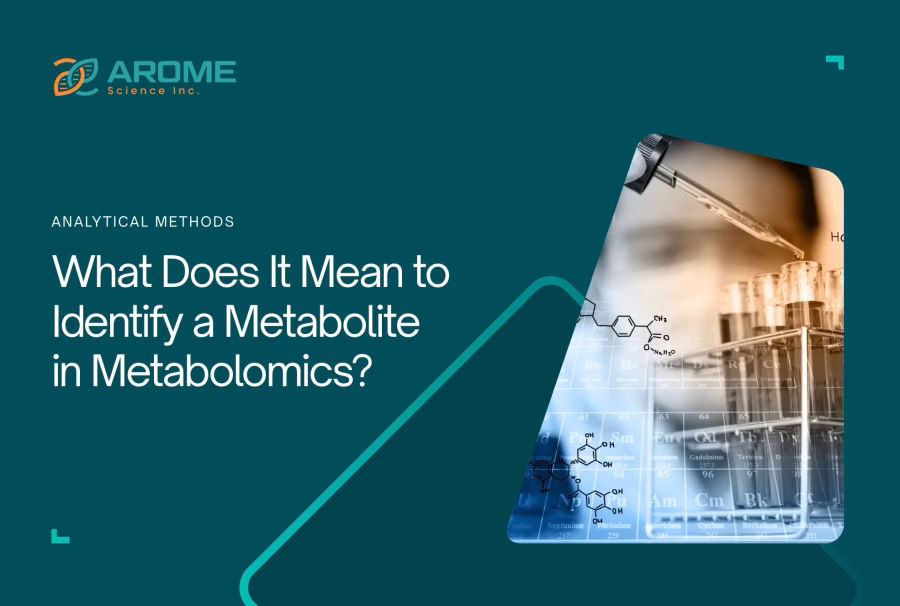metabolite-identification